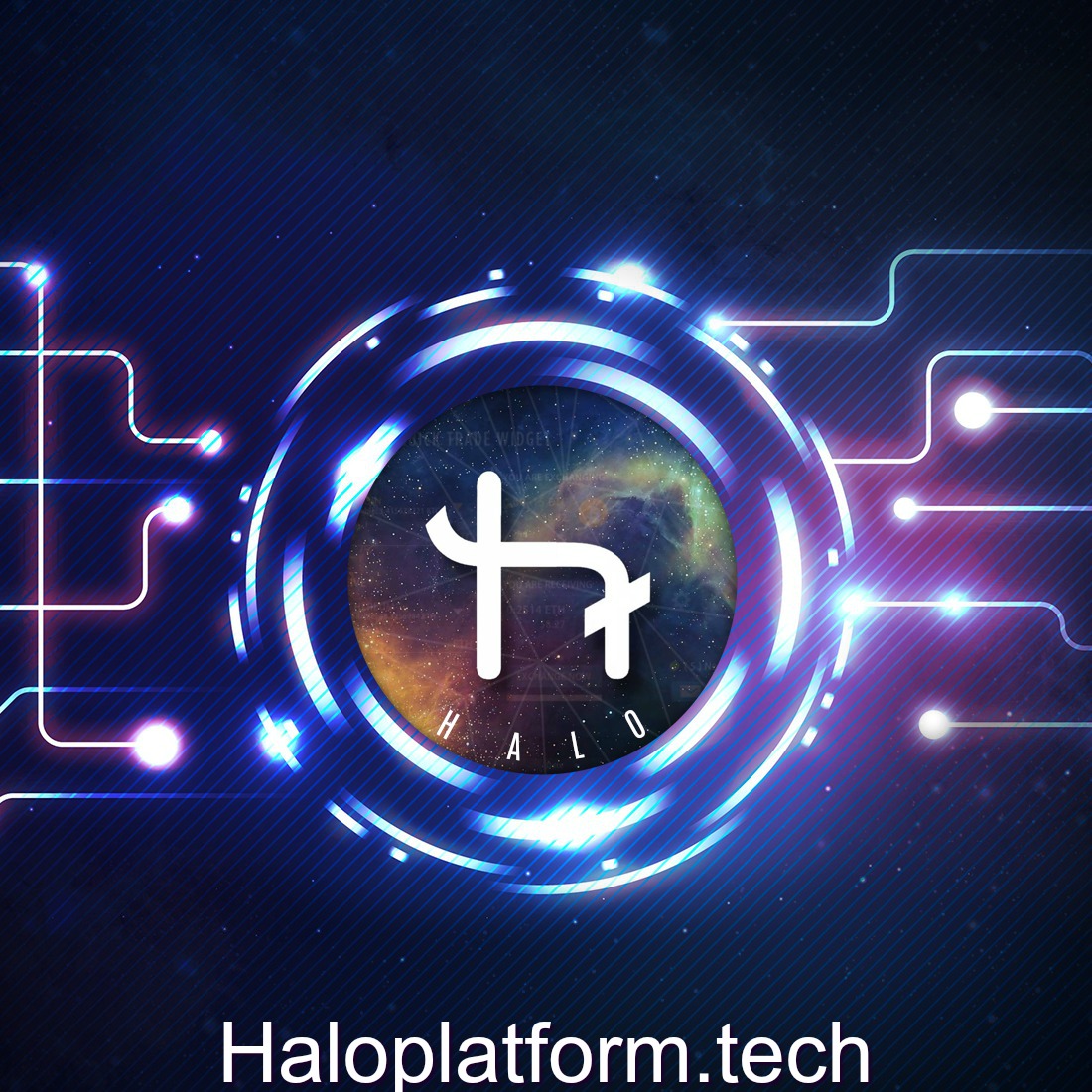 halo-platform-crypto-currency-image002.jpg