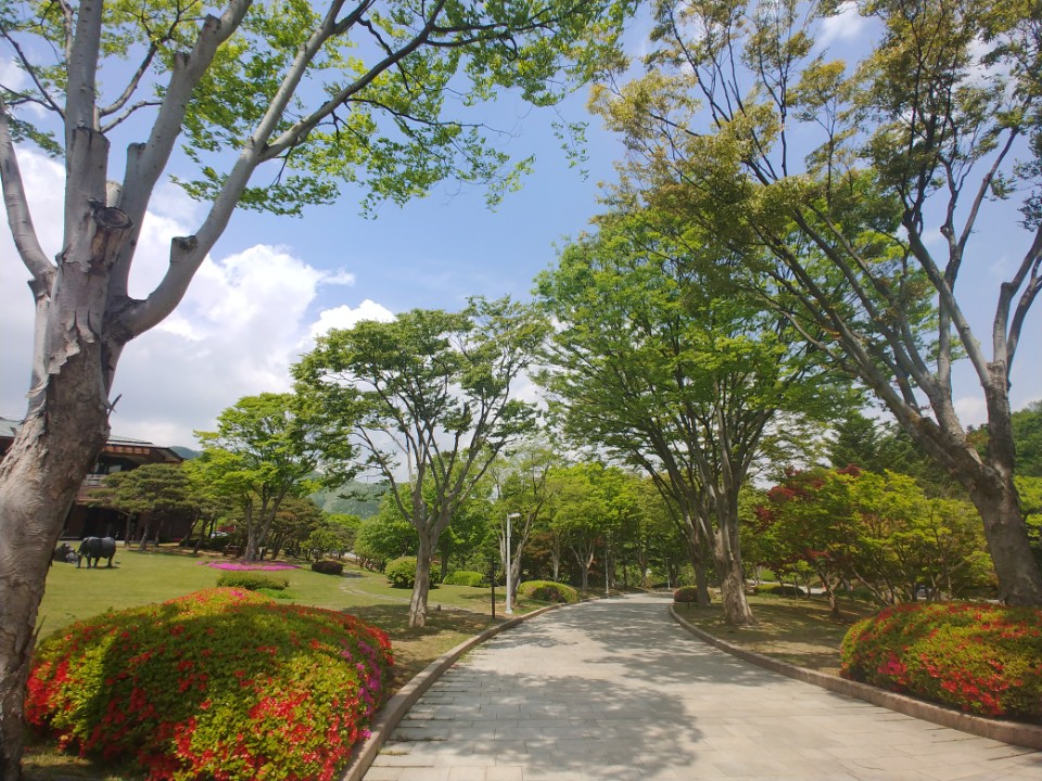 KakaoTalk_Photo_2018-05-05-07-58-11_21.jpeg