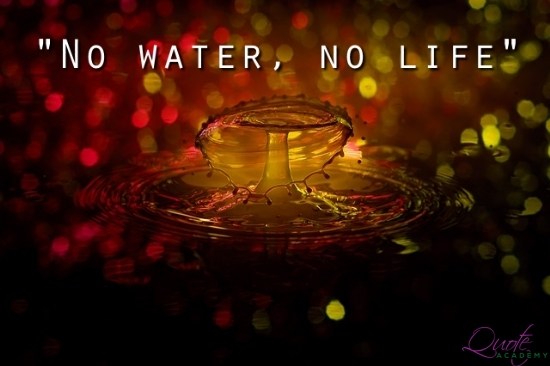 save_water_slogans_2 (1).jpg