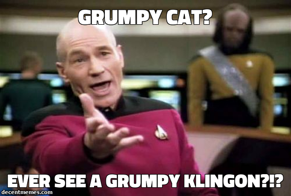 Ever see a grumpy Klingon~q!~q.jpg
