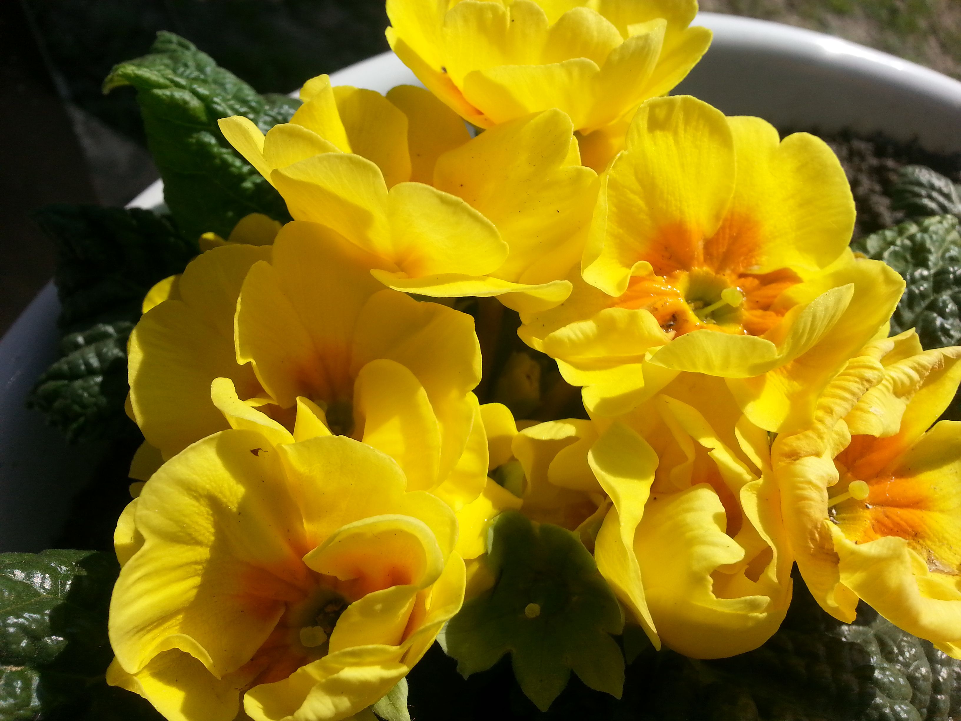 20180412_105104.jpg