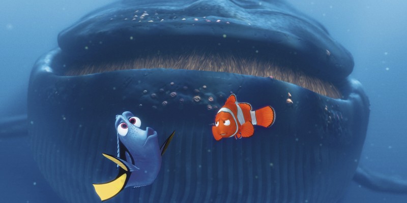 Dory-800x400.jpg