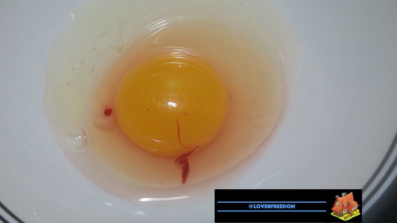 bloodspottedegg.jpg