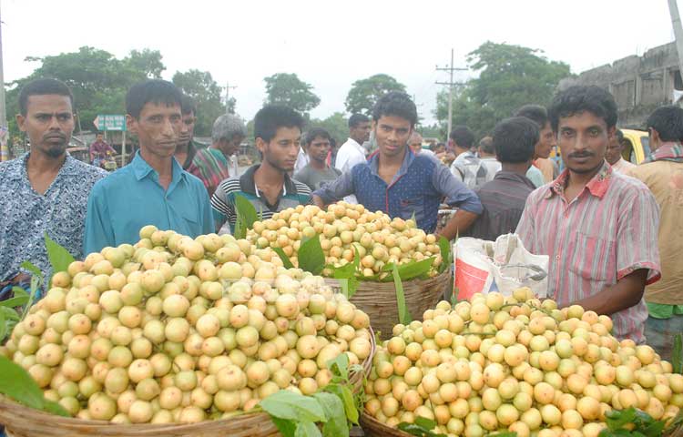 Narsingdi-Latcon-820160712064758.jpg