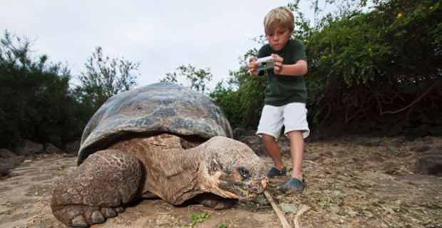 tortuga-galapagos.jpg