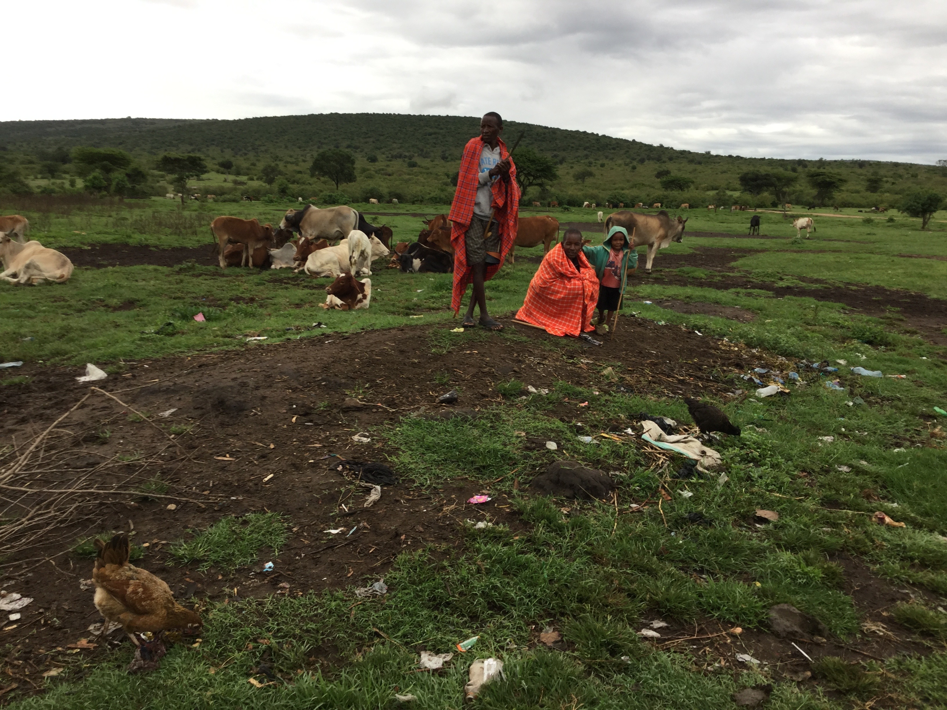 Massai herders.jpg