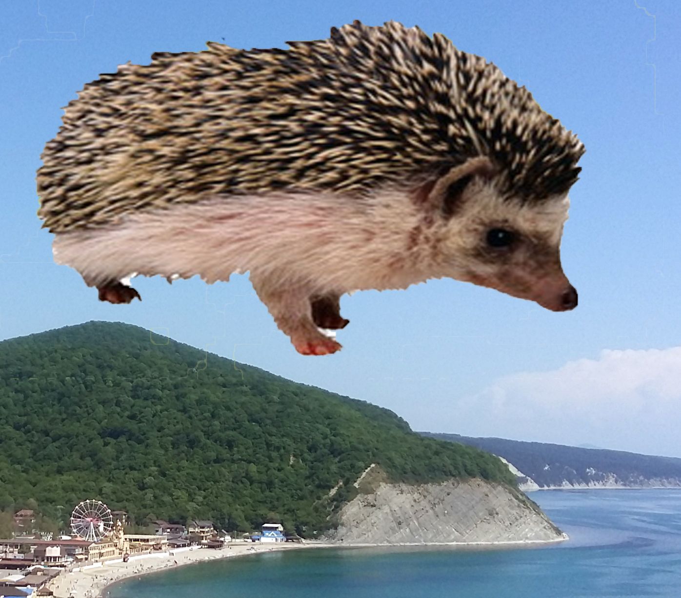 20180502_135817.jpg