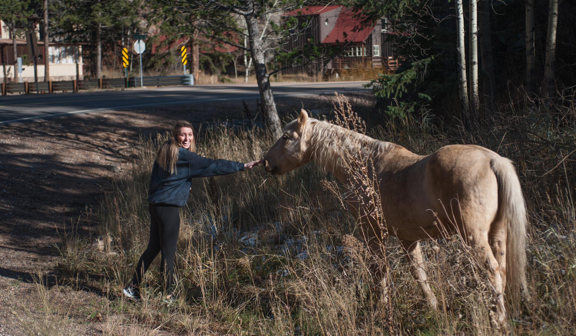 Estes_Park-1-2.jpg