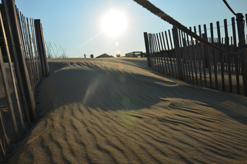beach-w-grow-pro.jpg