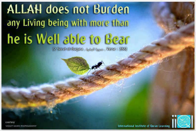 allah-does-not-burden-a-people-more-than-what-they-can-tolerate.jpg