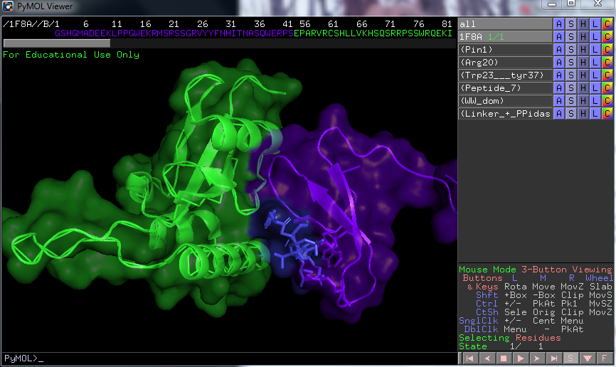 pymol3.PNG