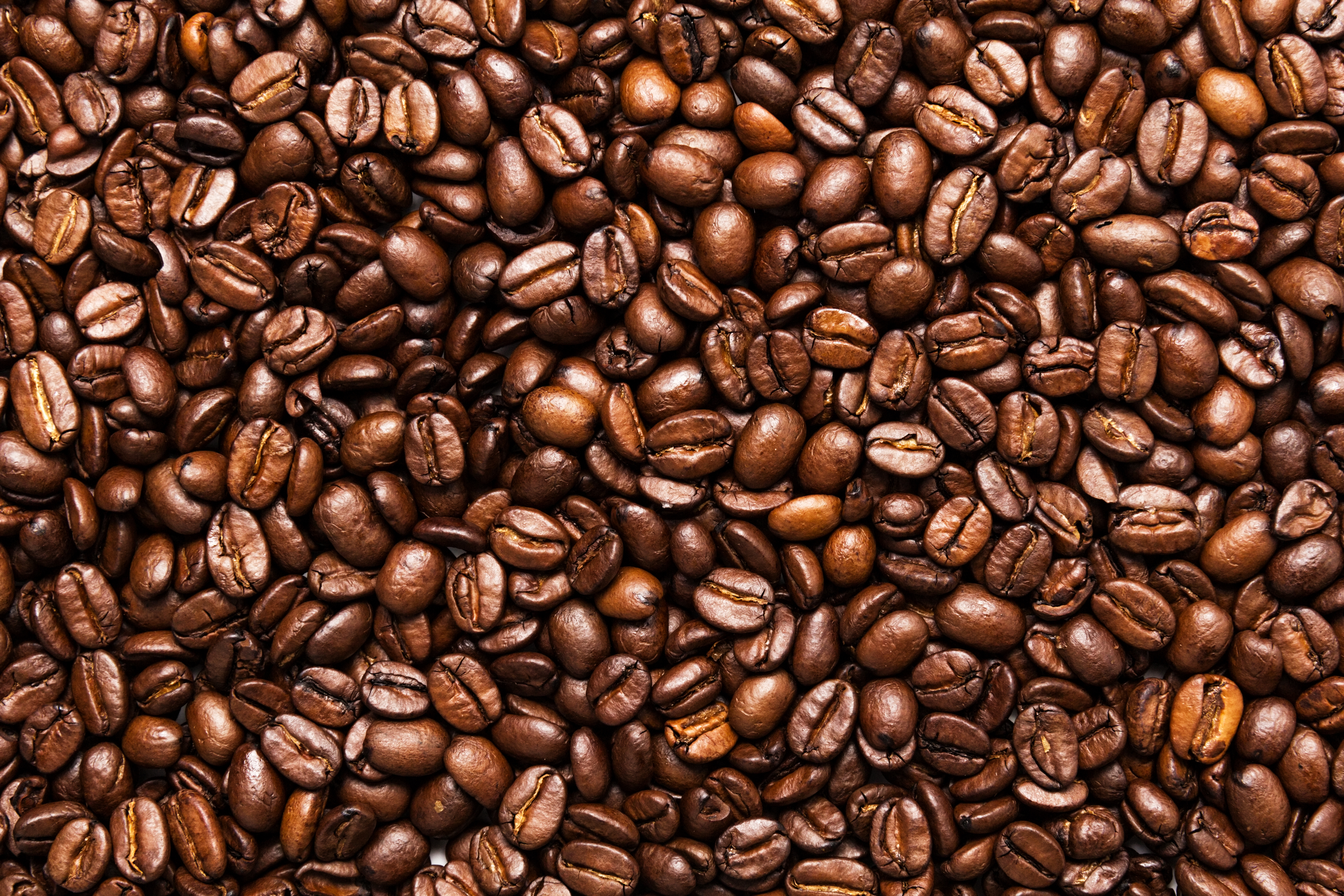 coffeebeans.jpg