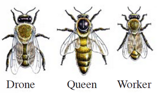 915c56796fd7e561.png