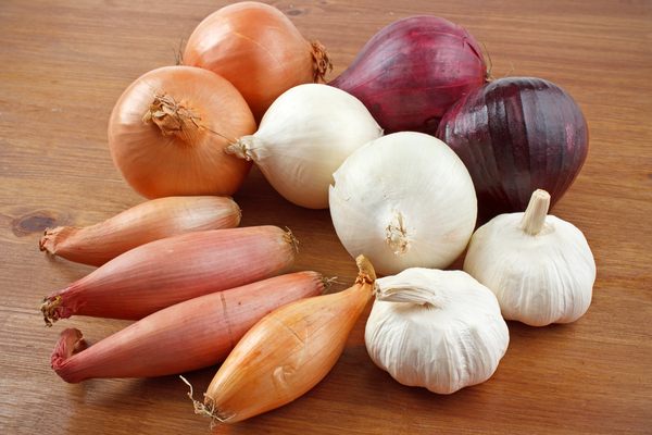 garlic, onion and shallot: differences and uses in the kitchen