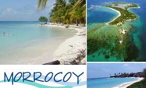 morrocoy 2.jpg