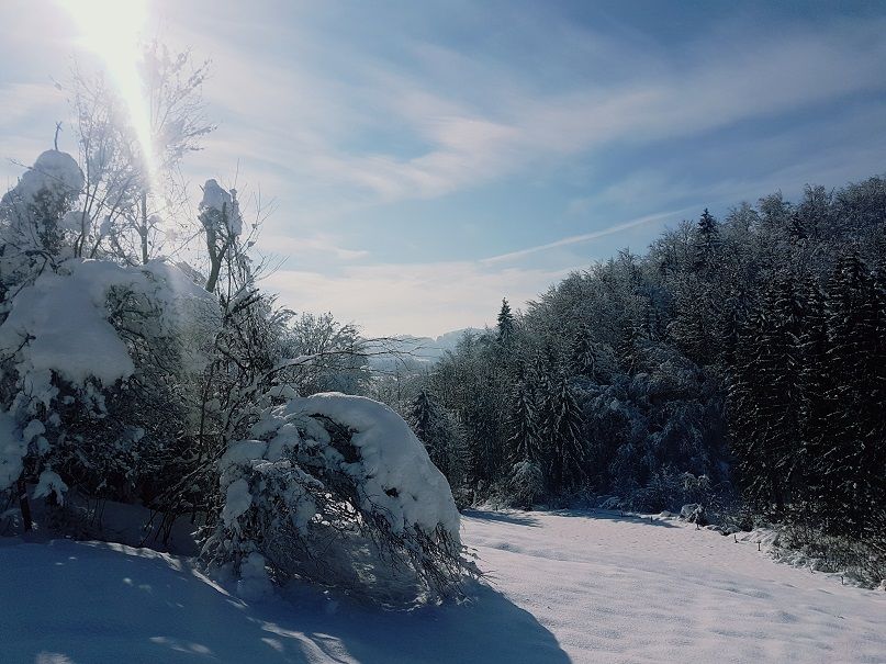 20180204_113306.jpg
