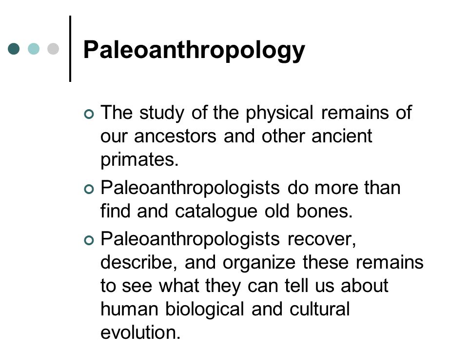 Paleoanthropology+The+study+of+the+physical+remains+of+our+ancestors+and+other+ancient+primates..jpg