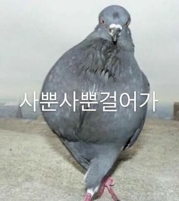 사뿐사뿐걸어가.jpg