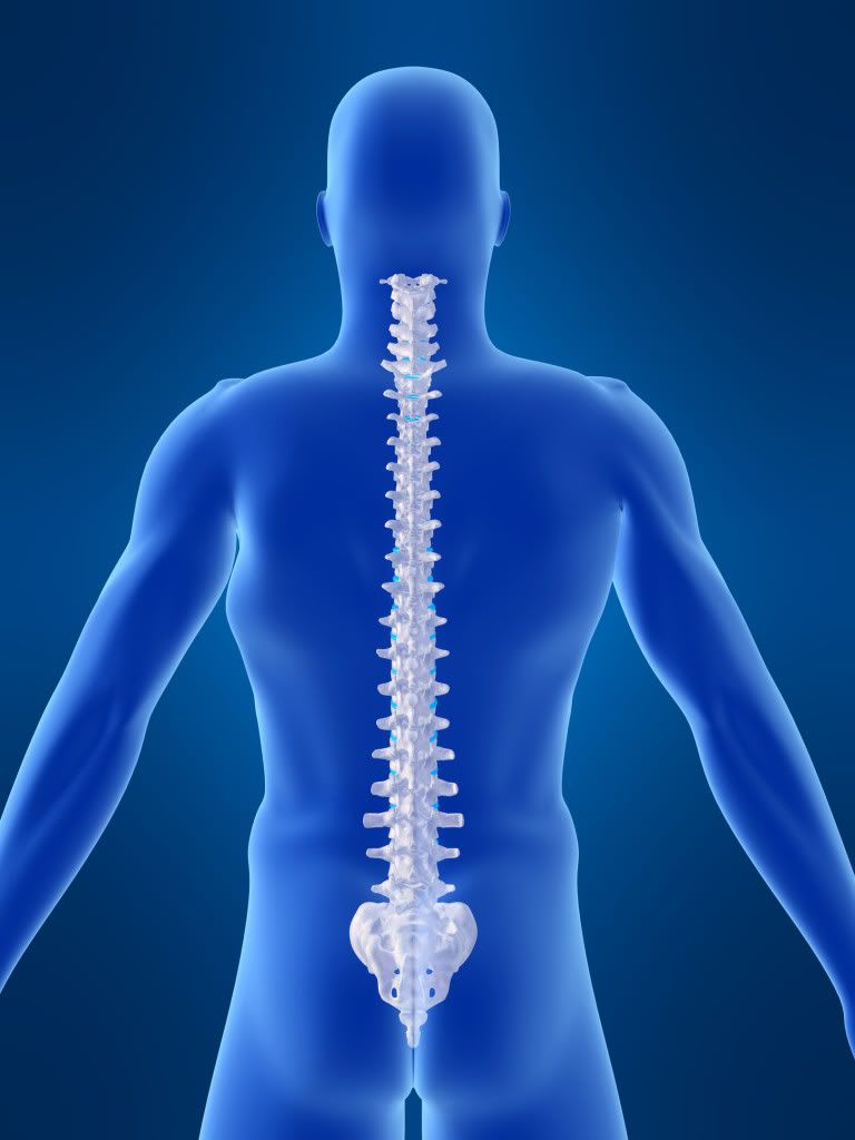 Spinal-Health.jpg