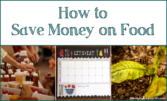 How-to-Save-Money-on-Food.jpg