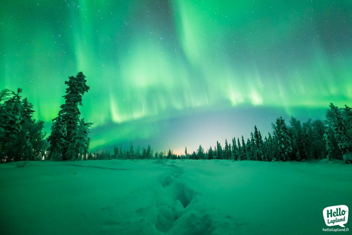 auroraborealisinlapland.jpg