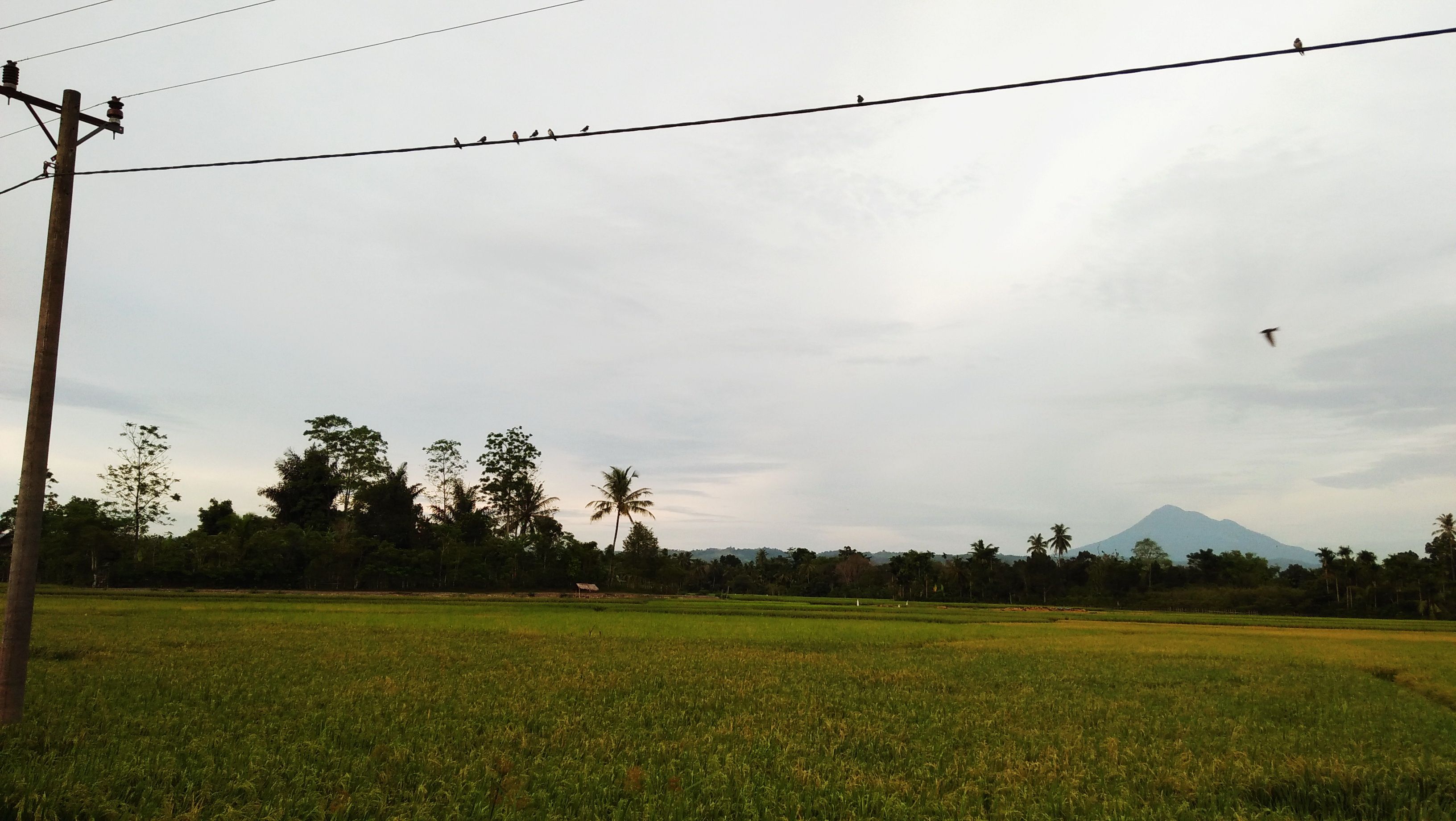 landscape2.jpg