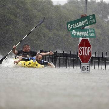 H H Brays Bayou.jpg