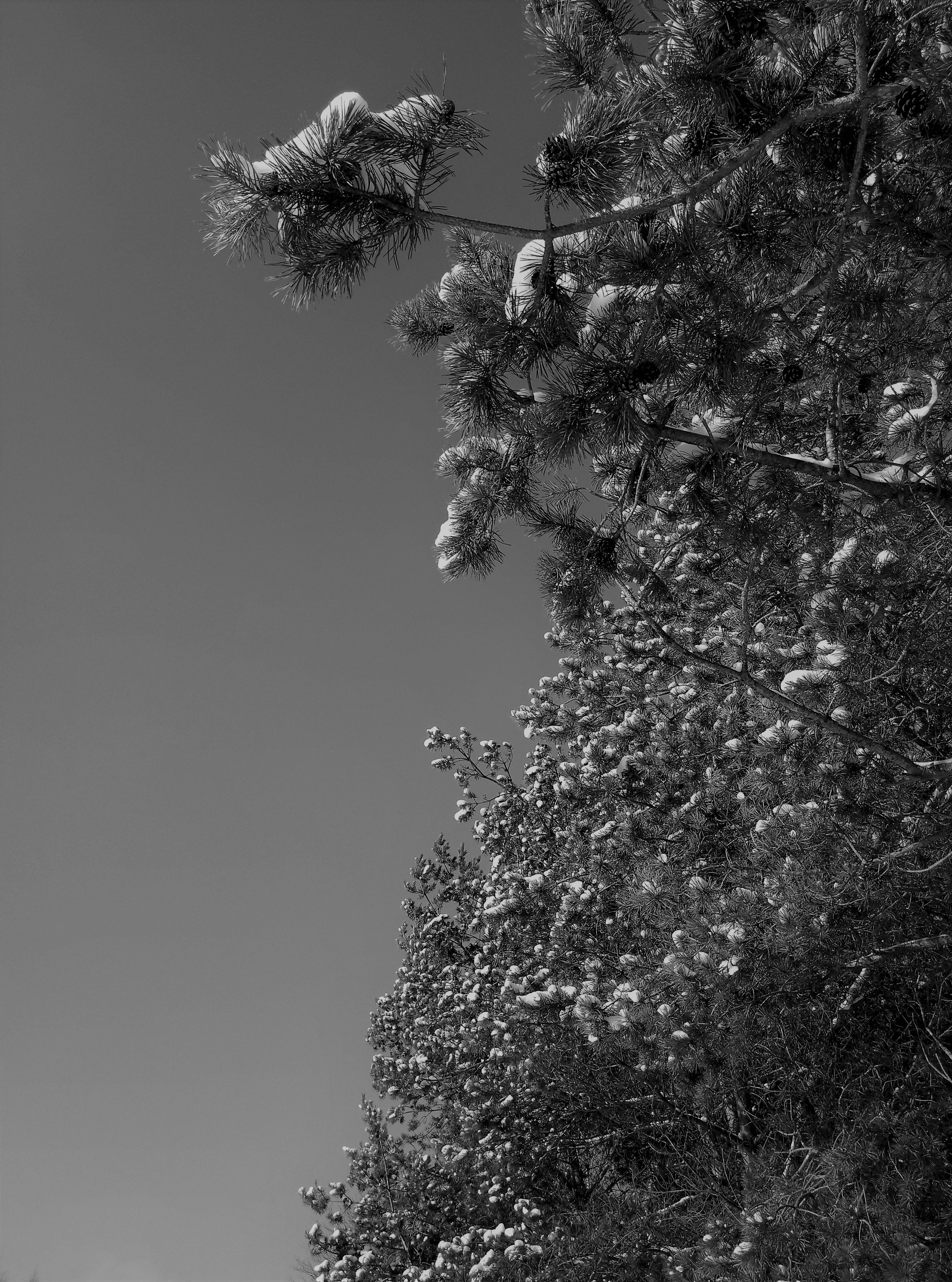 IMAG0212#.jpg