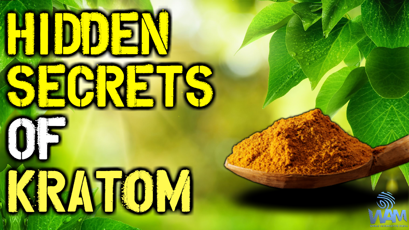 the hidden secrets of kratom with luis mises thumbnail.png