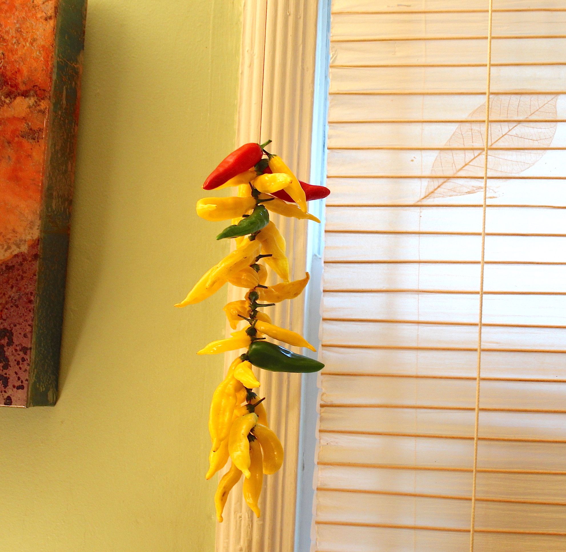 6 hanging peppers 2017-10-03 12.20.58 copy 2.jpg