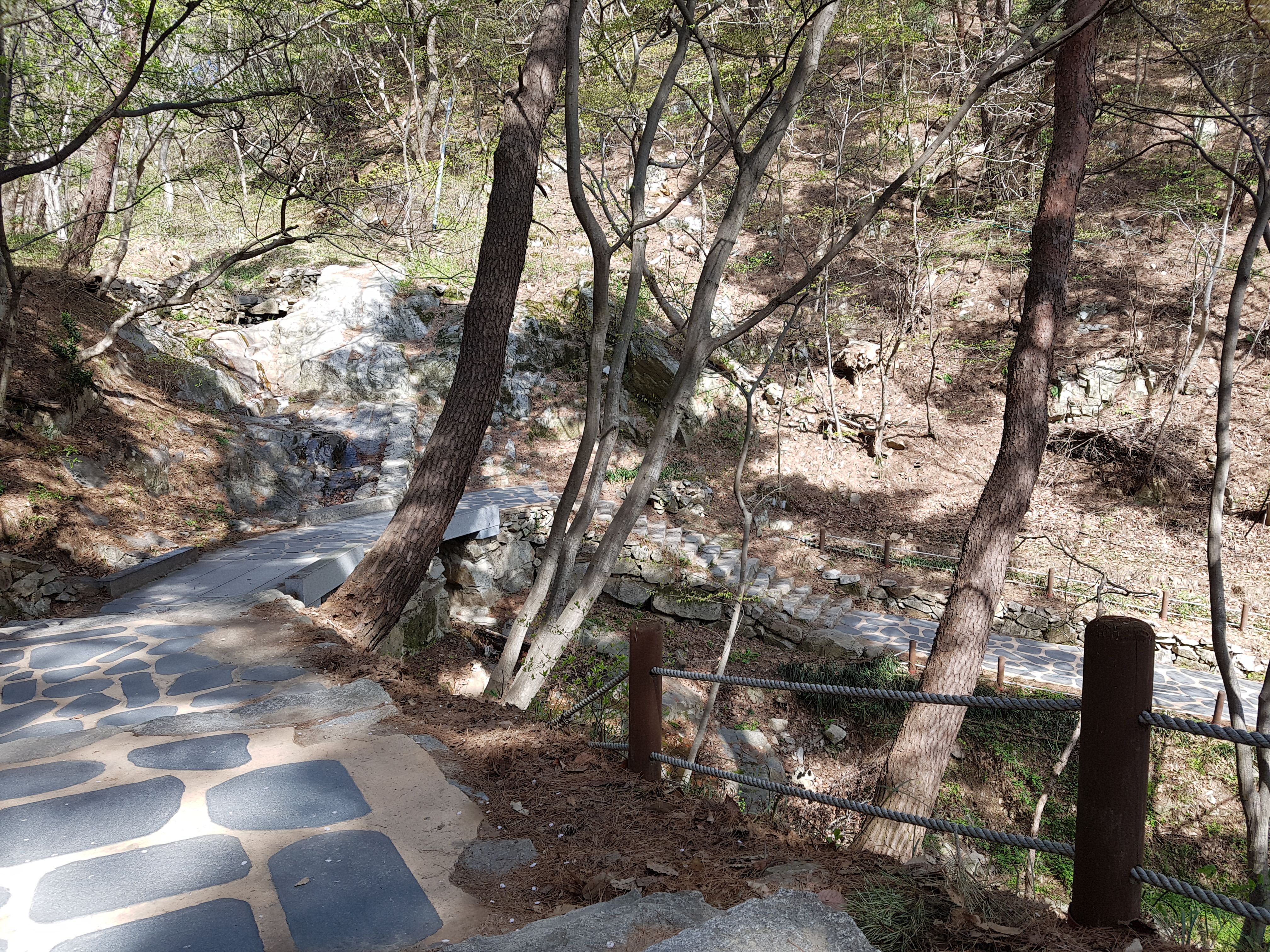 20180412_150912.jpg
