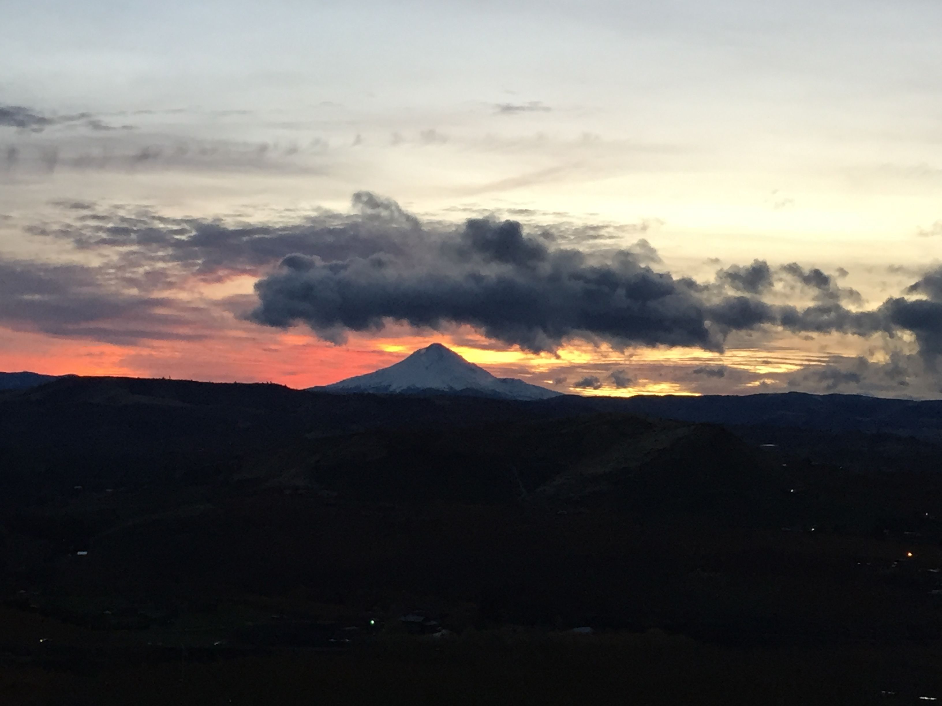 1800E968-C8F8-4D77-B70A-C629760C38D9.jpeg