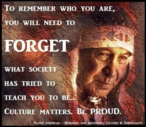 8c74d1b42303c14550b94ffad985651a--cherokee-indian-quotes-native-american-quotes.jpg