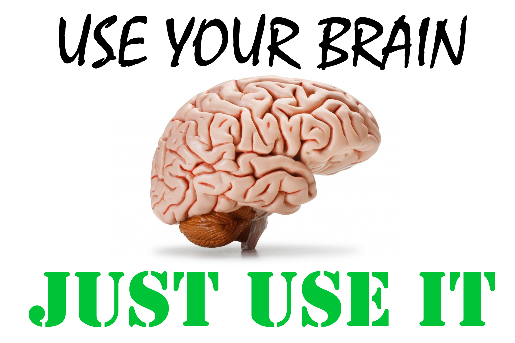 use your brain.png