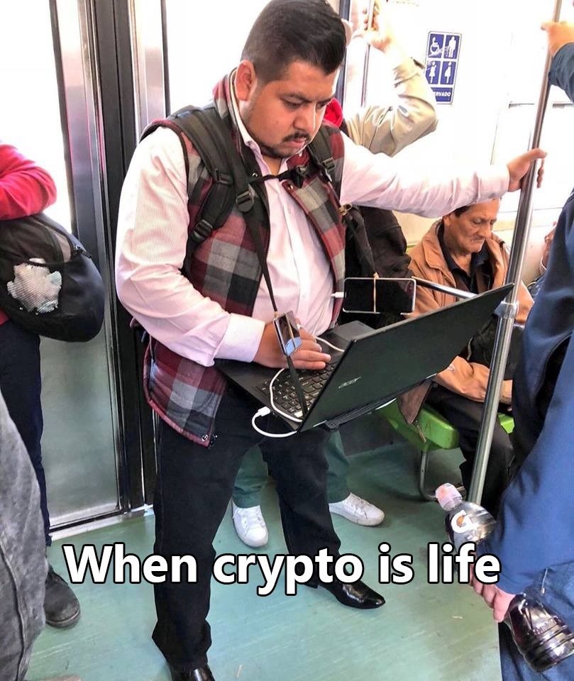 cryptolife.jpg