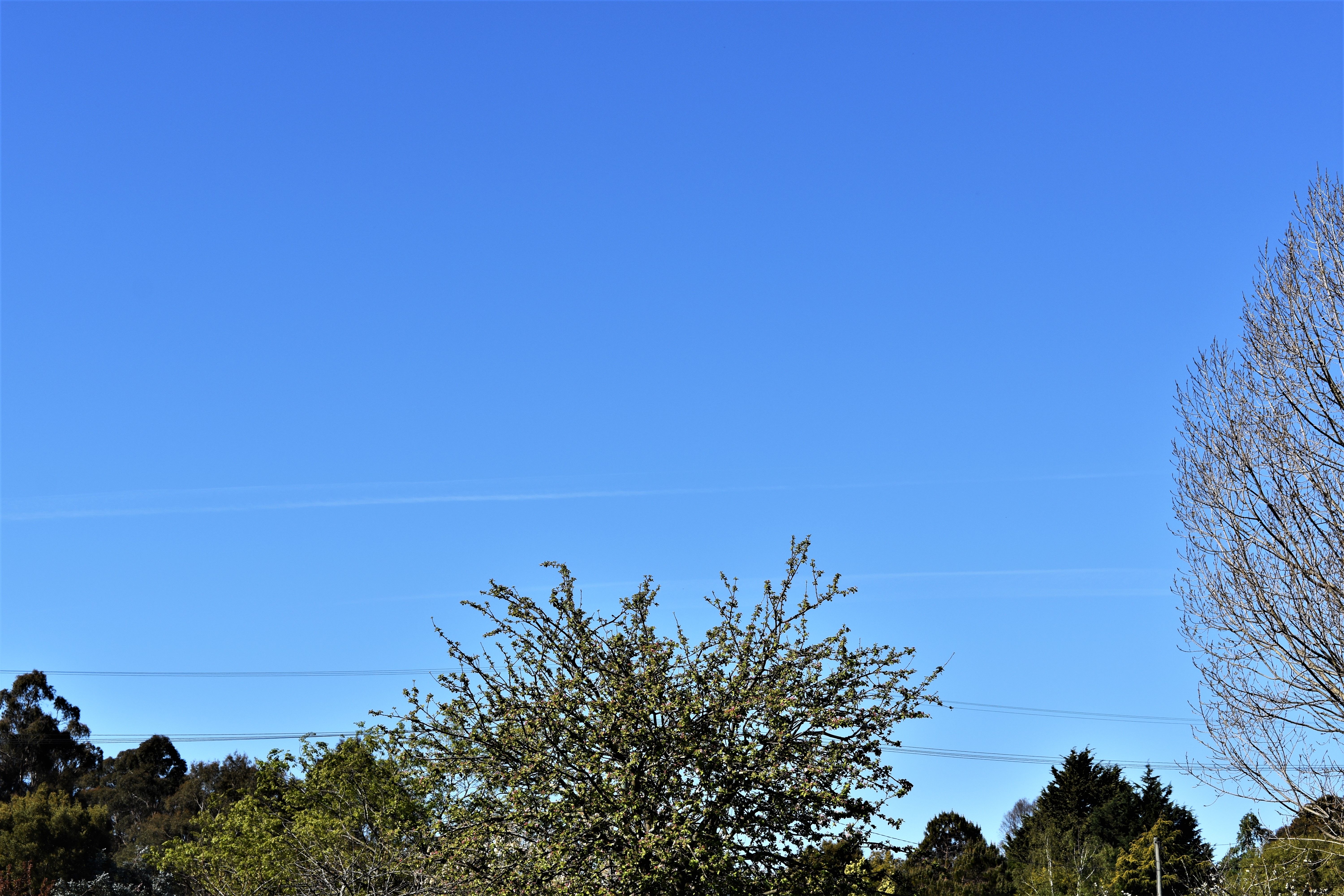 DSC_0694 friday sky blue.jpg