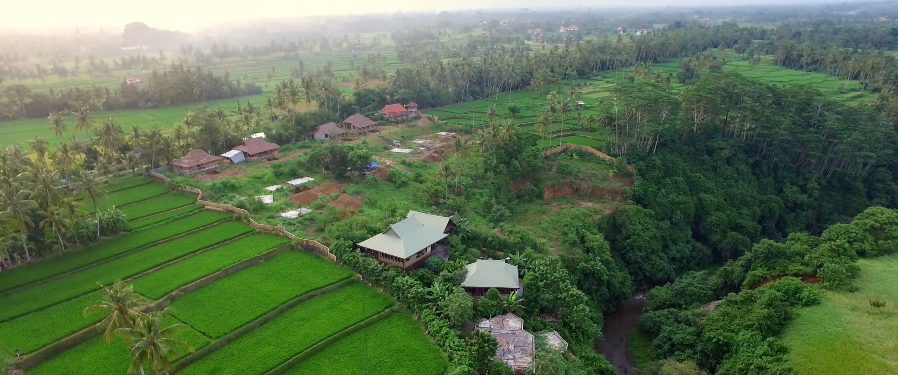 Taman Petanu banner shot.jpg