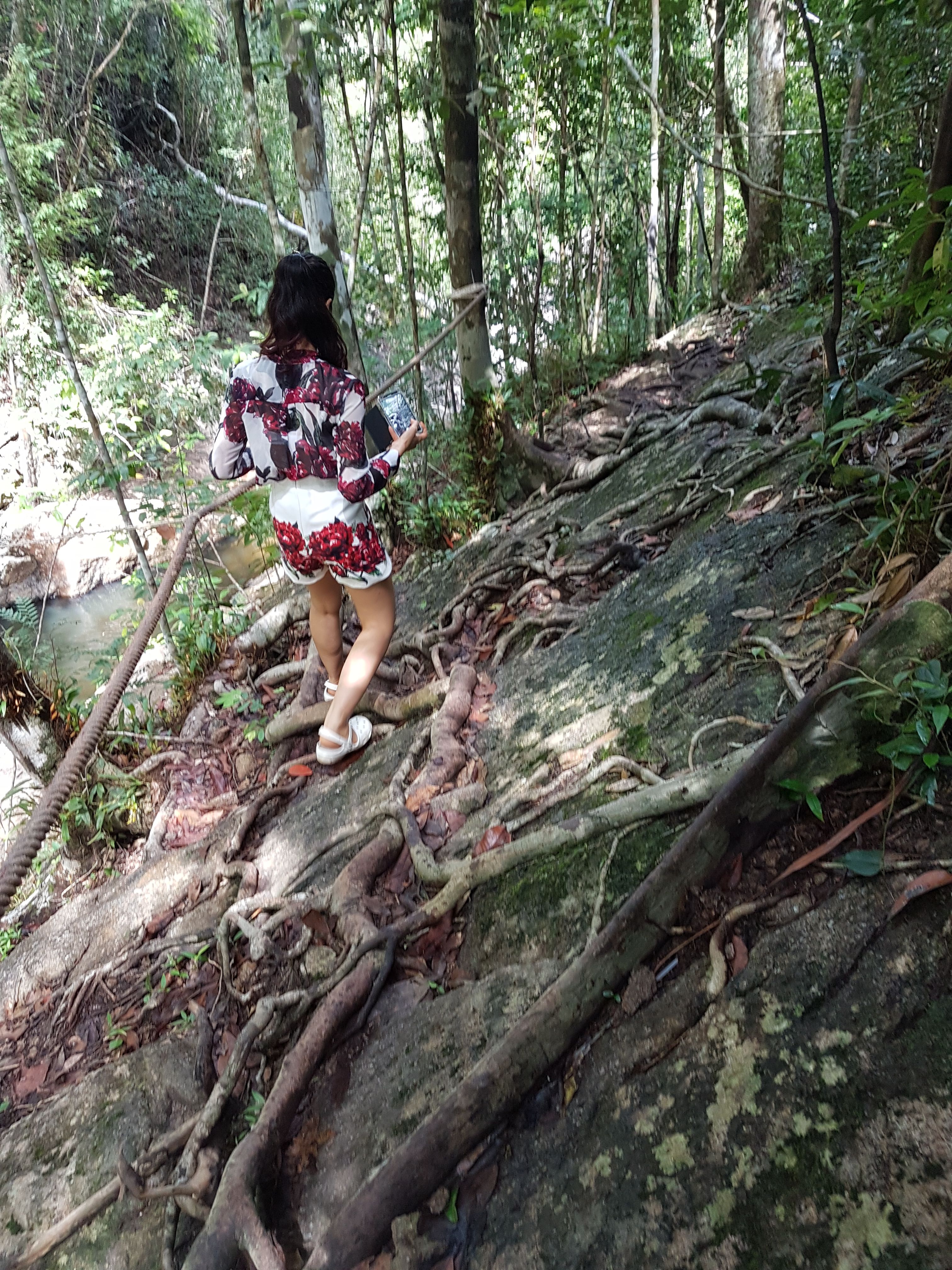 20171004_102037.jpg