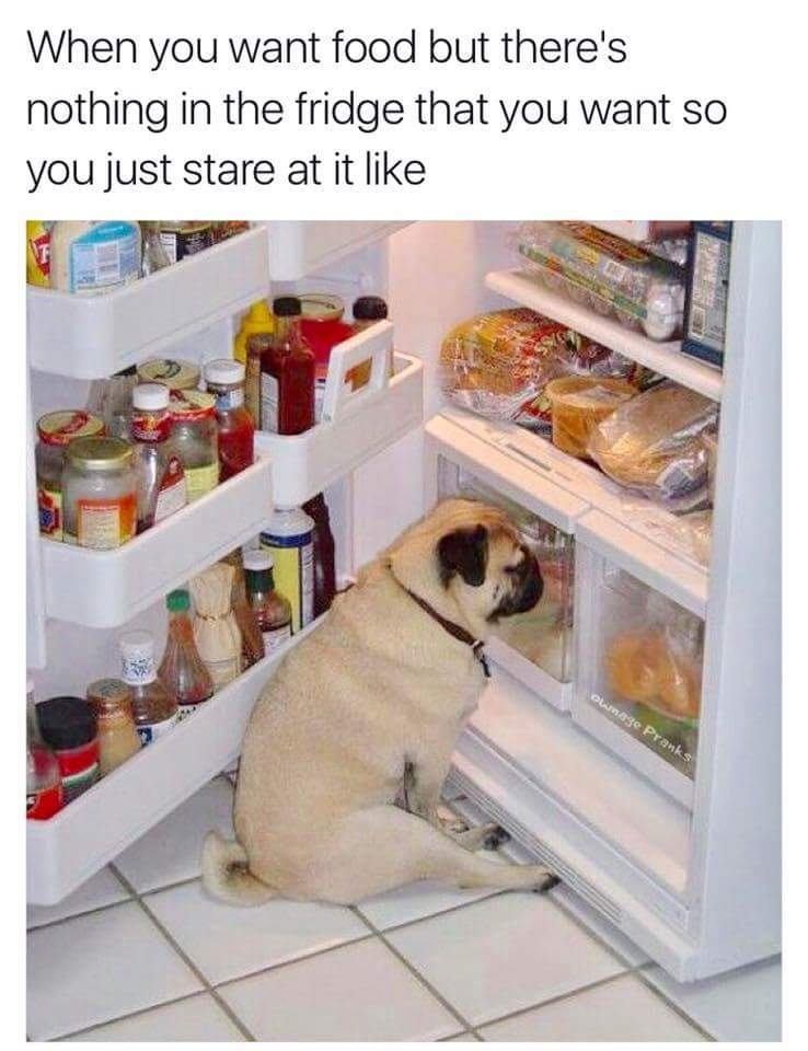 FB_IMG_1519229431585.jpg