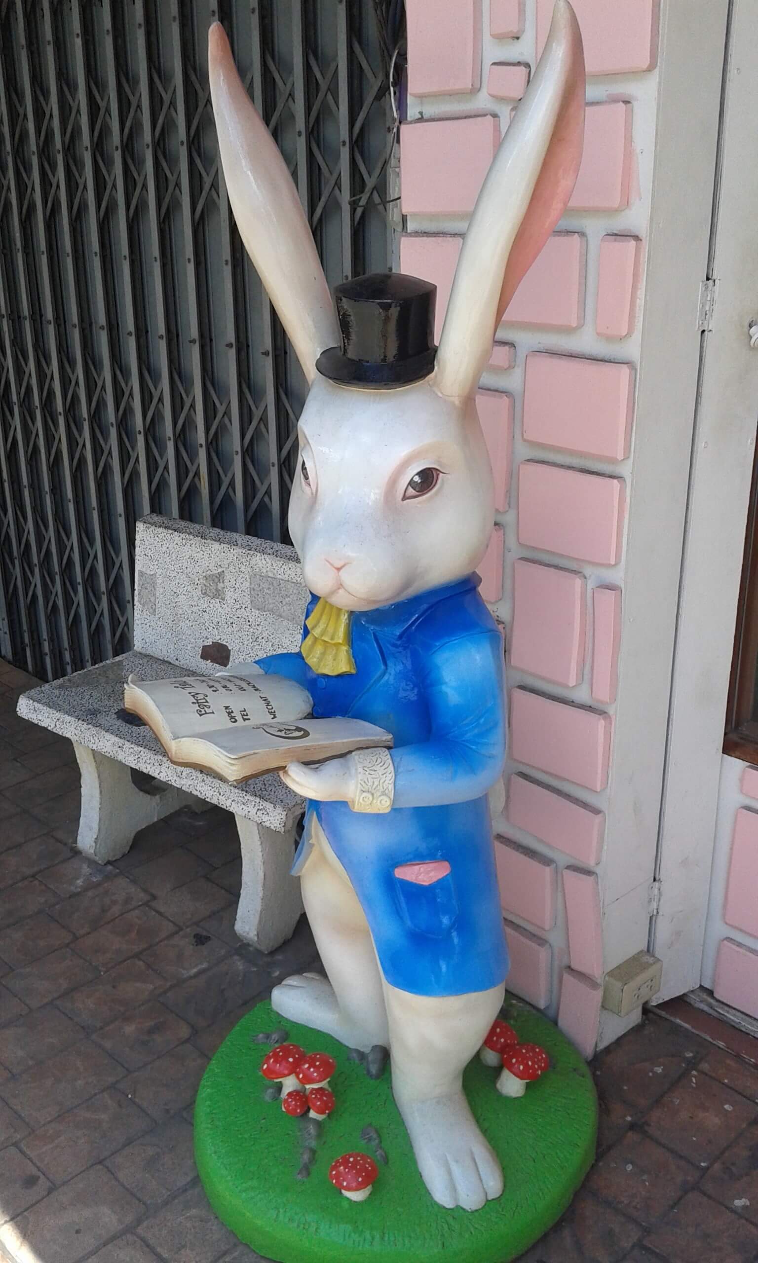 Bunny And Book.jpg