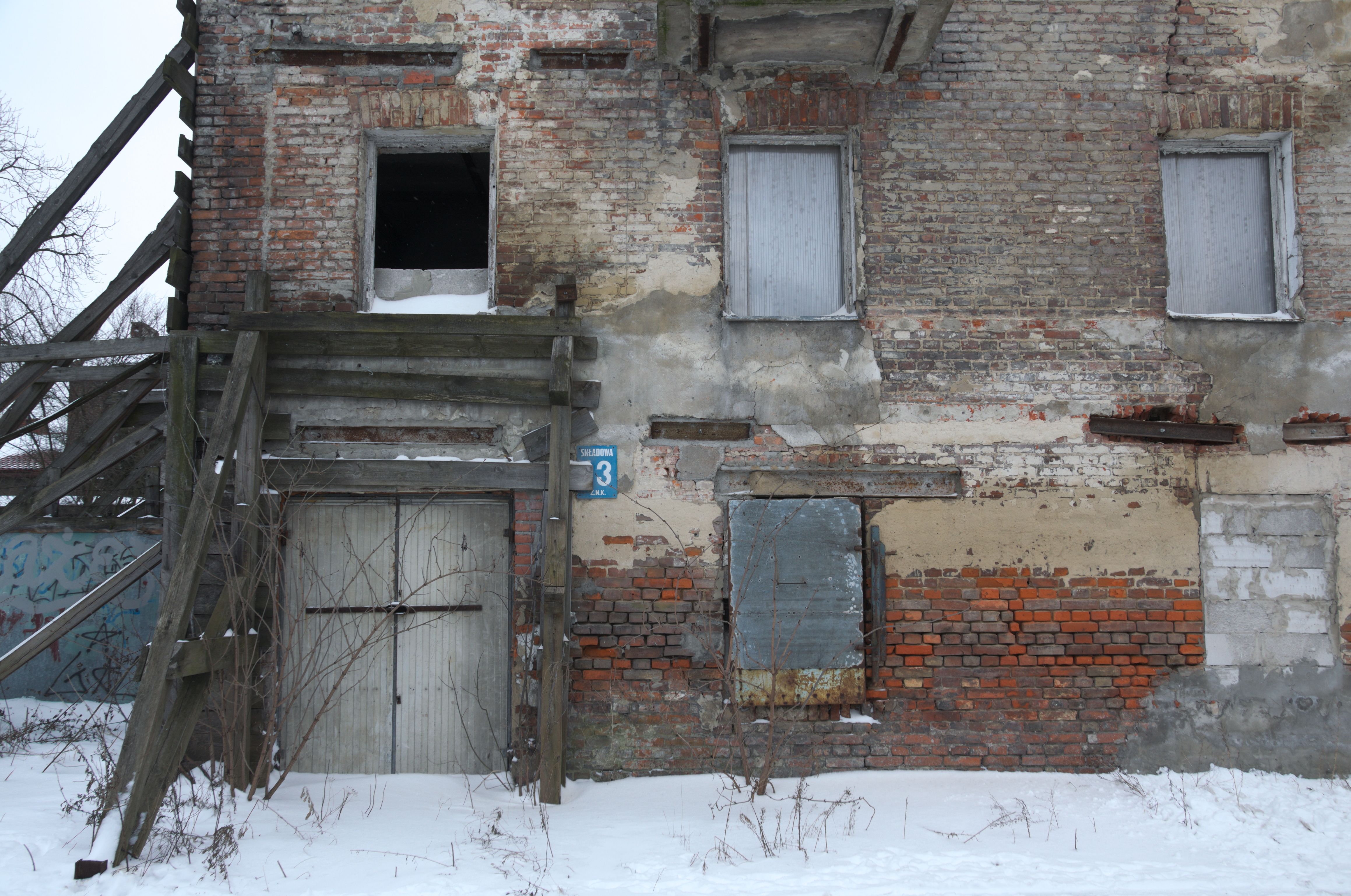 DSC_0500.NEF.jpg