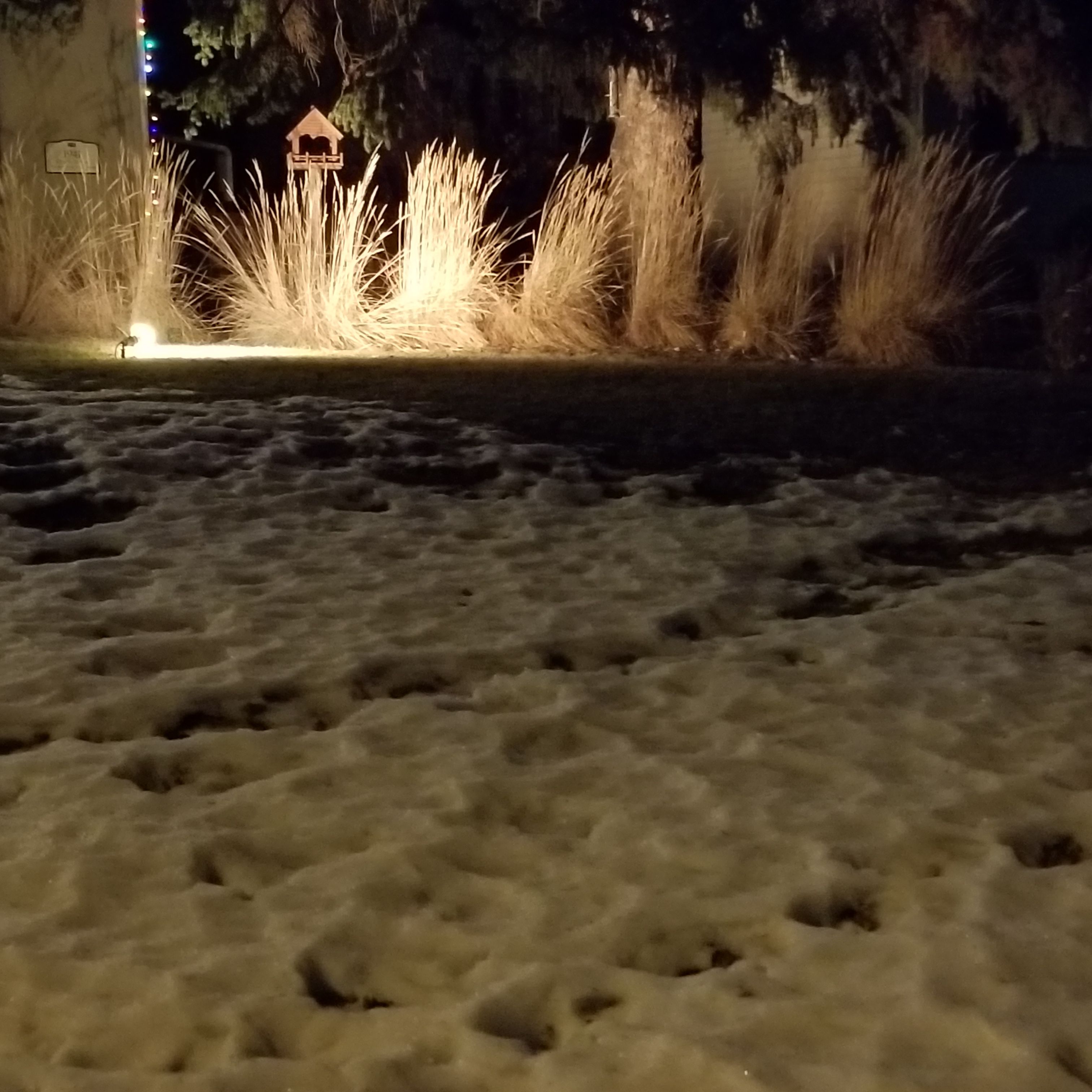 20171216_195130.jpg