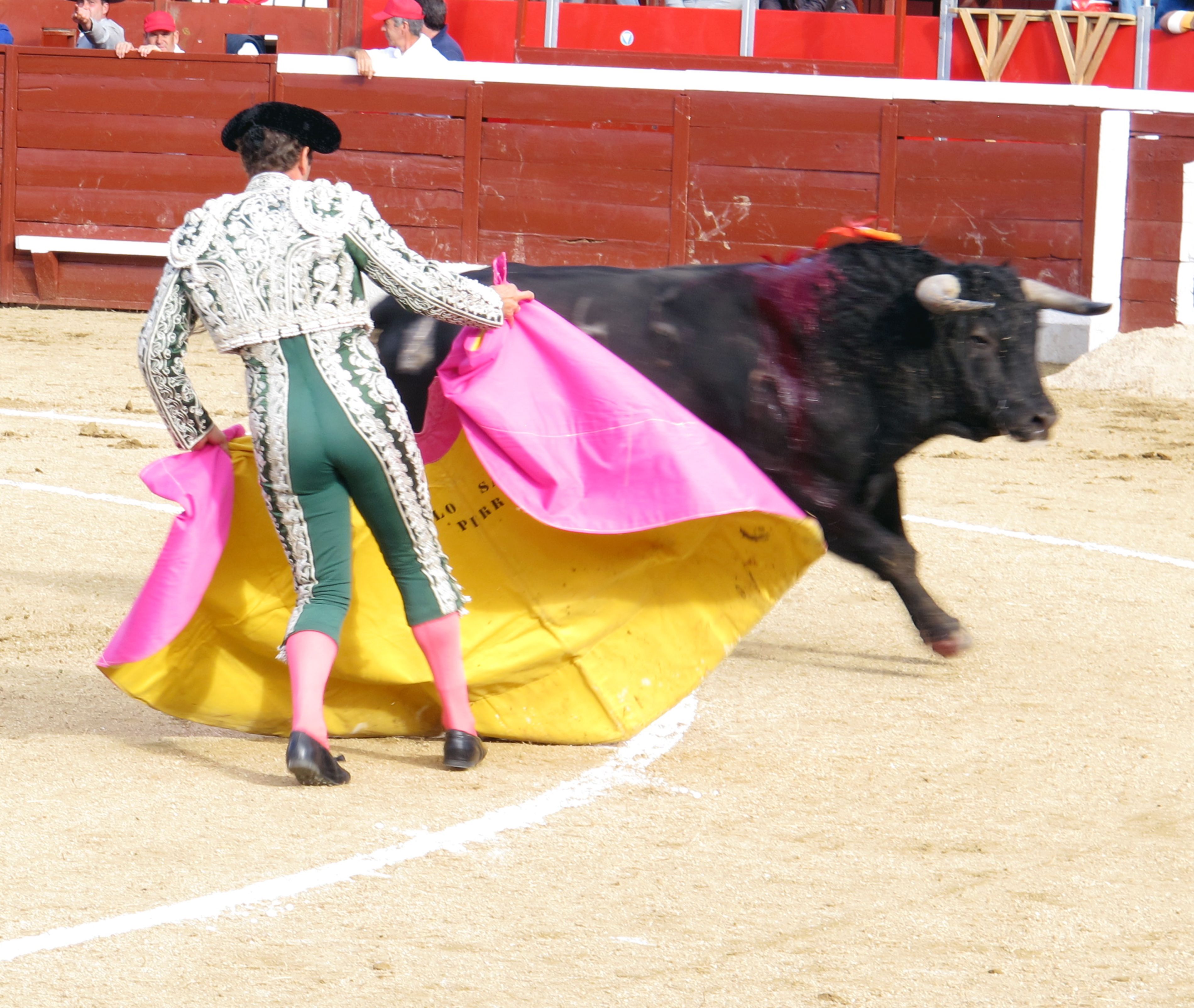 ,torero (2).jpg