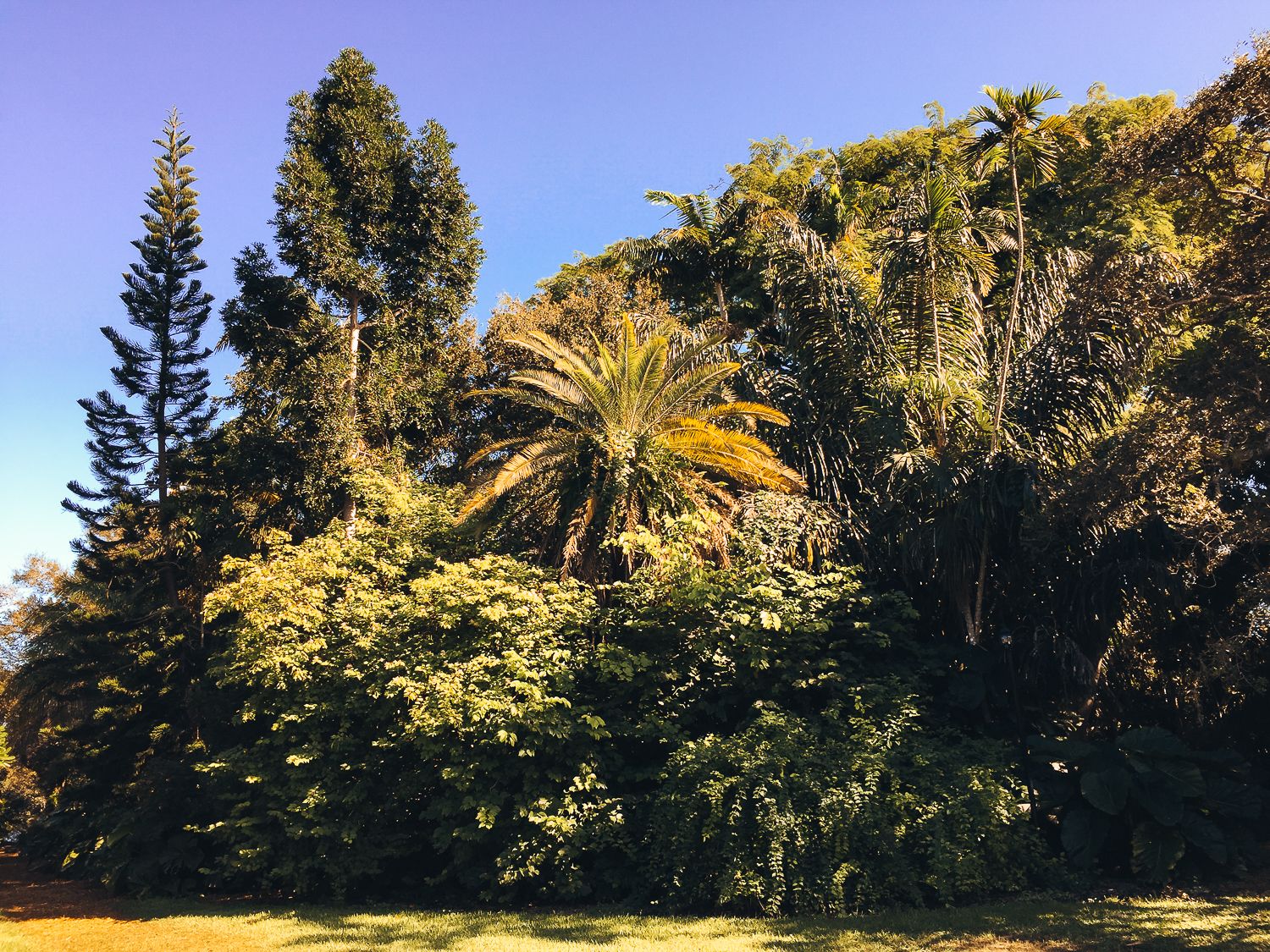 Fairchild Botanic Garden-14.jpg