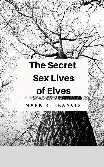 The Secret Sex Lives of Elves (small) - Edited.jpg