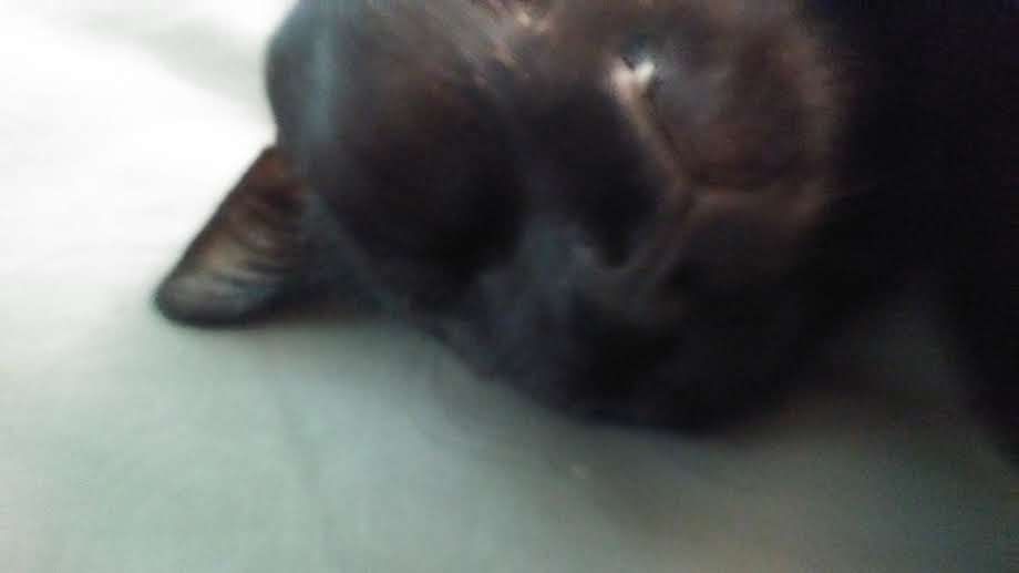 Message_1504719399621.jpg