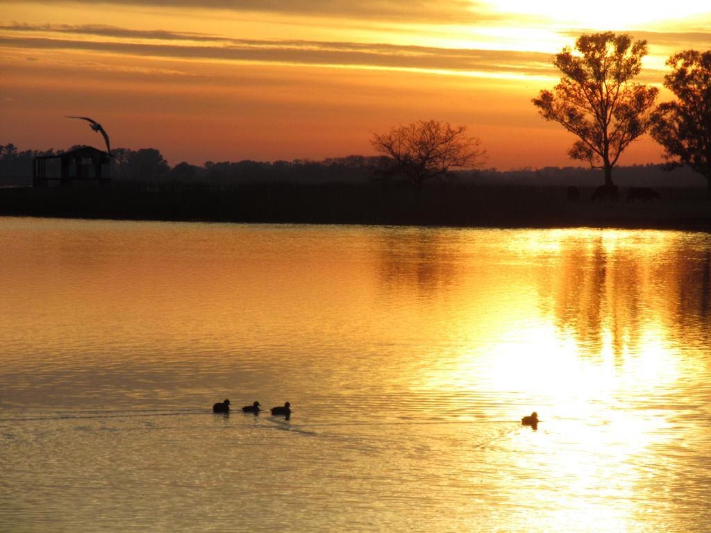 Laguna de Lobos - amanecer - fotos 18.jpg