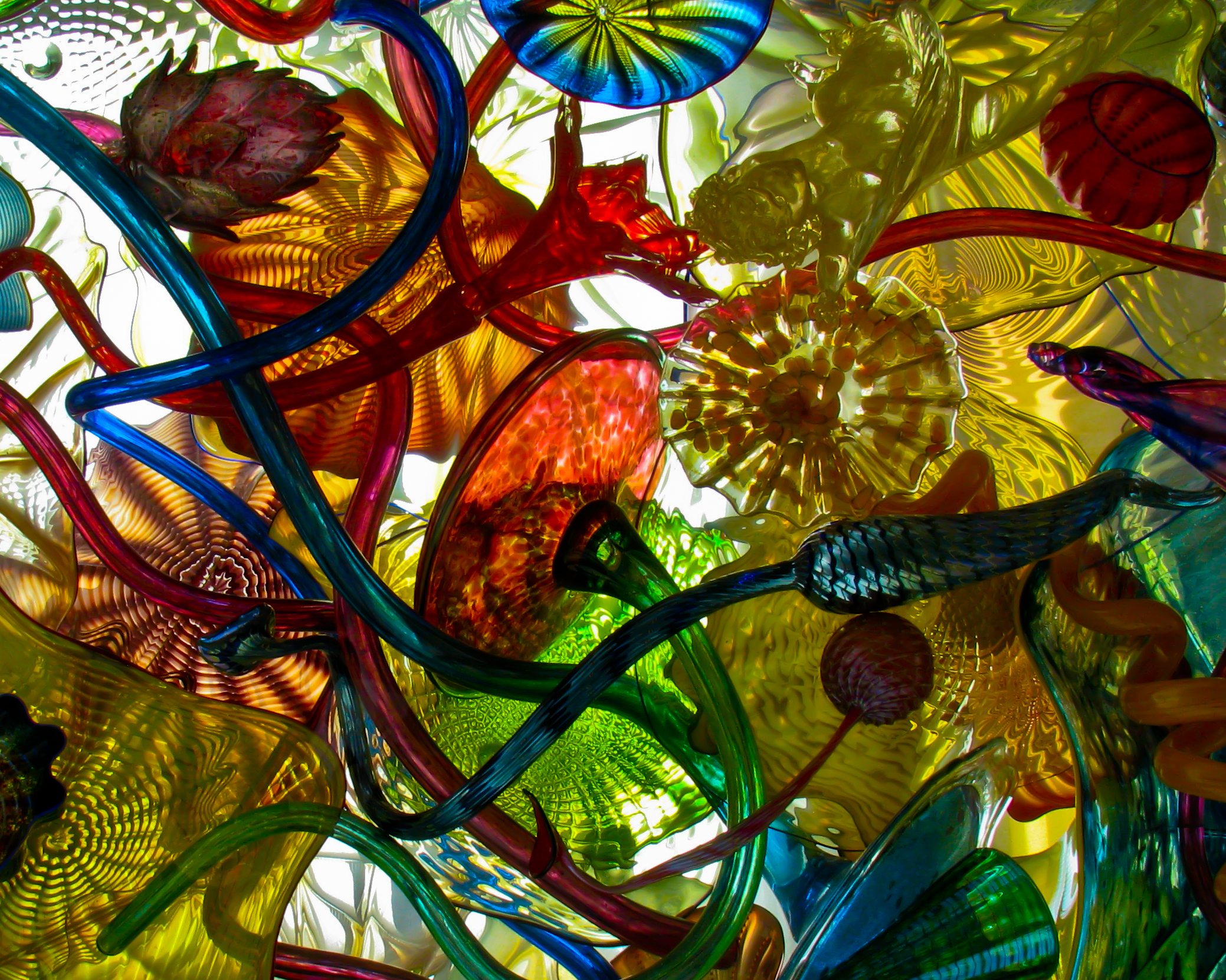 More Chihuly 8X10.jpg