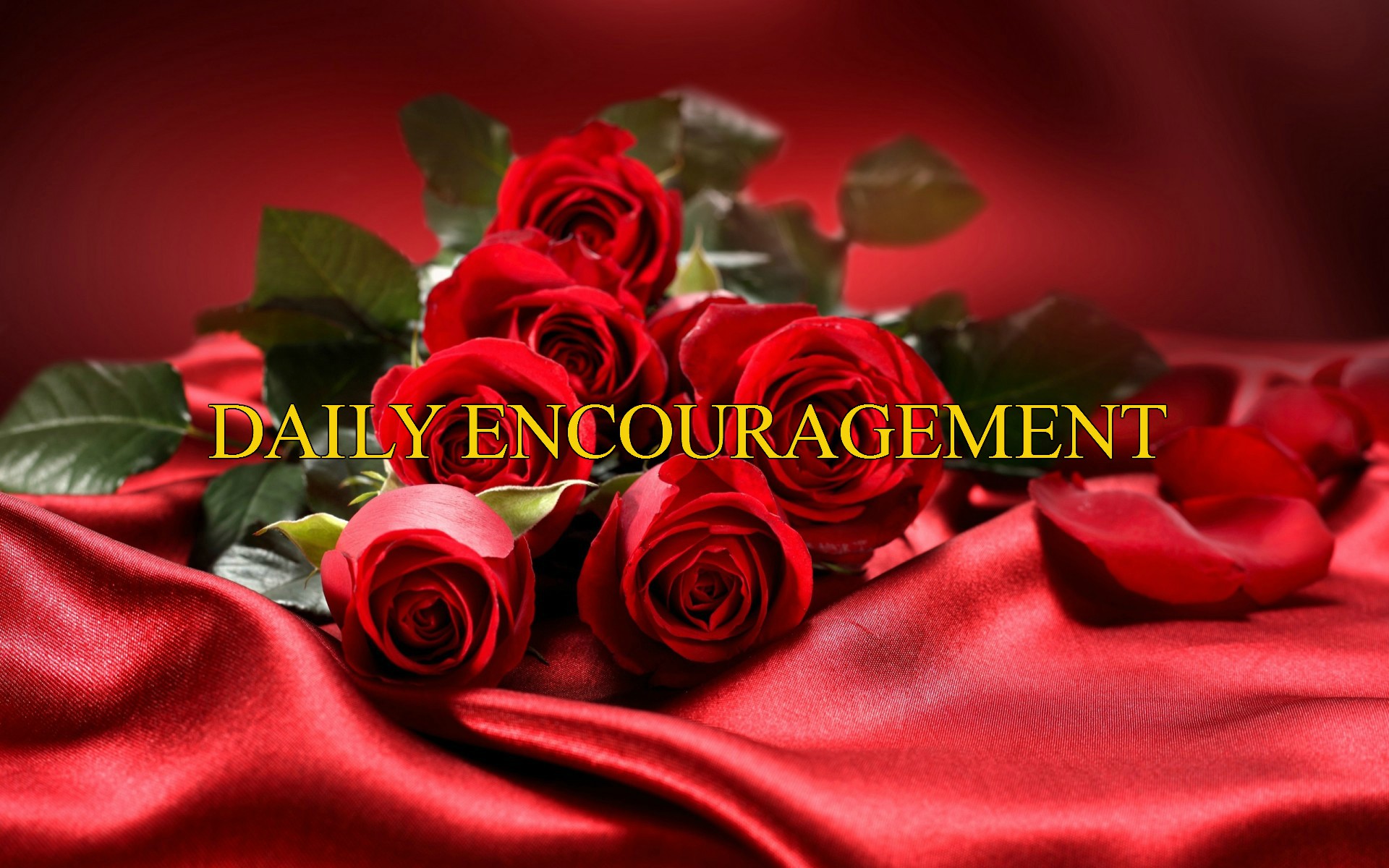 1Bouquet-flowers-red-roses-love-Valentine-s-Day_2560x1600-1920x1200.jpg