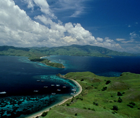 pulau-komodo-8.jpg